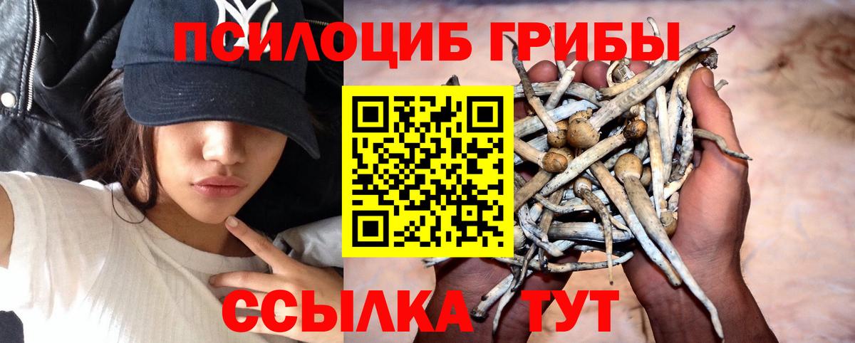 Галлюциногенные грибы MAGIC MUSHROOMS  Вход с VPN  Добрянка 